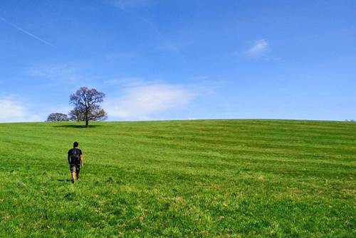 Walking across Epping Fields