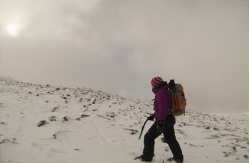 Branwen on Siabod